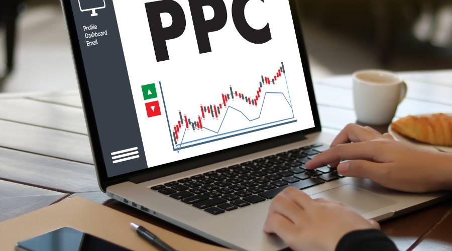 Person analyzing PPC data on laptop screen.