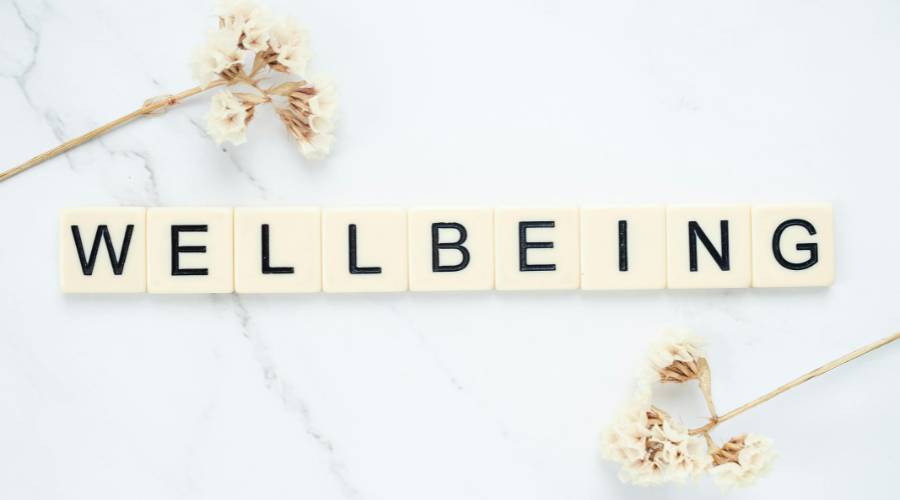 wellness-and-purpose